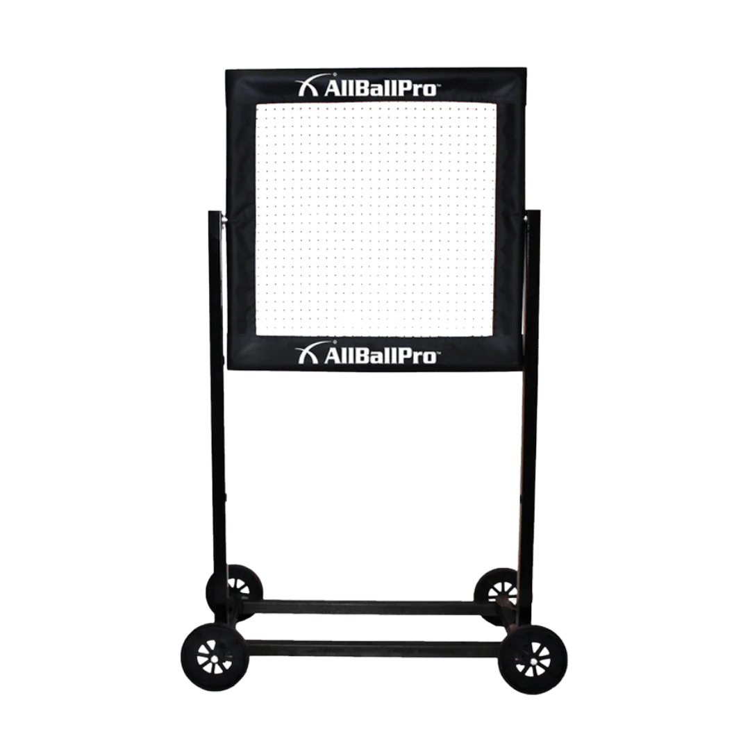 All Ball Pro Stinger X Rebounder