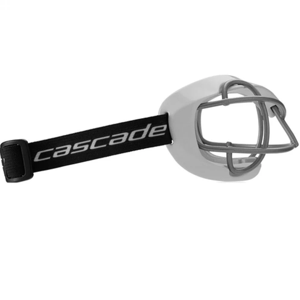 Cascade Poly Arc Goggle