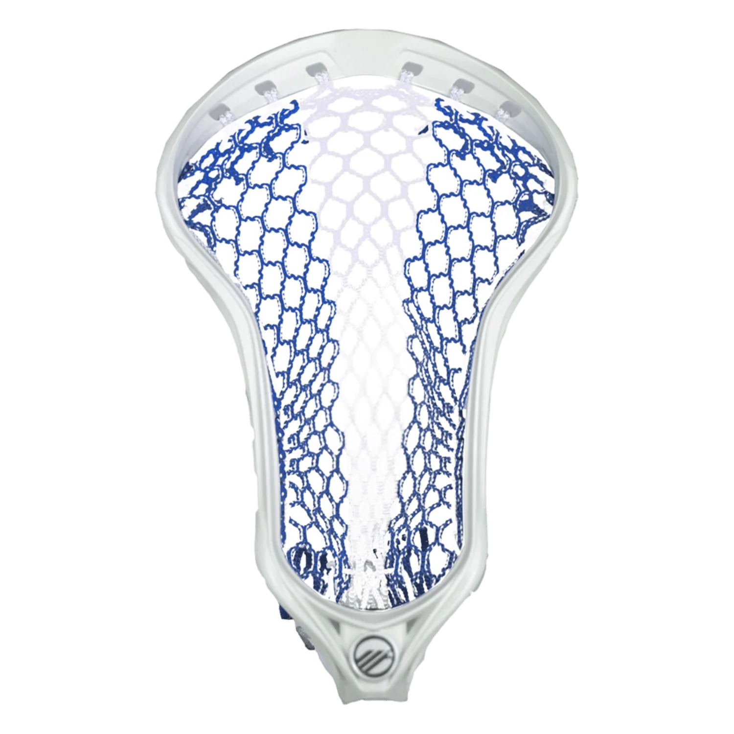 Force 10D Mesh